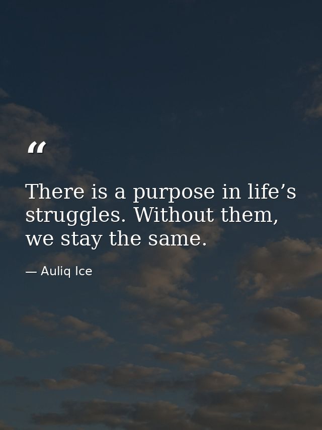 There is a purpose in life’s struggles. Without them, we stay the same. — Auliq Ice