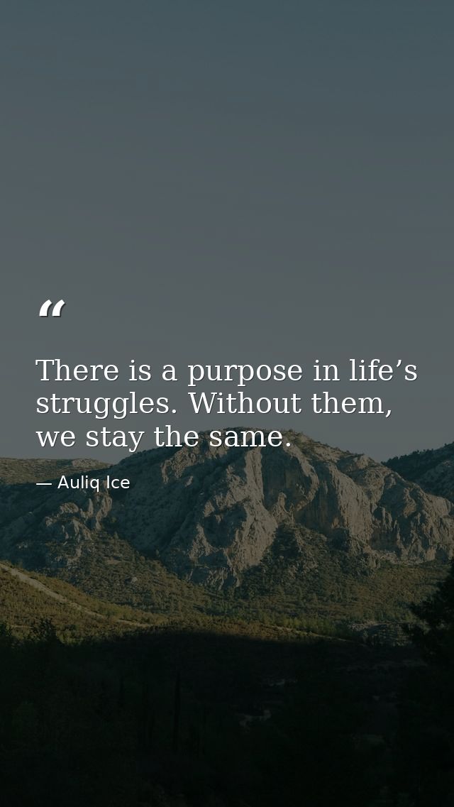There is a purpose in life’s struggles. Without them, we stay the same. — Auliq Ice