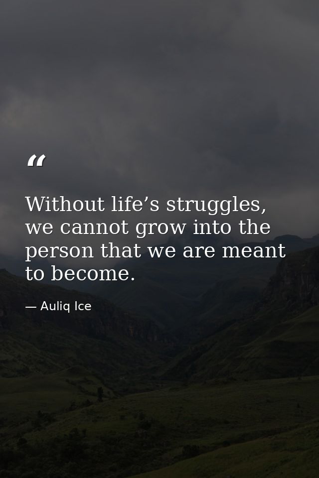 Without life’s struggles, we cannot grow into the person that we are meant to become. — Auliq Ice