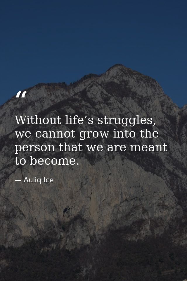 Without life’s struggles, we cannot grow into the person that we are meant to become. — Auliq Ice