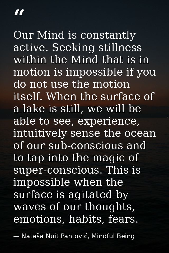 Our Mind is constantly active. Seeking stillness within the Mind that is in motion is impossible if you do not use the m — Nataša Nuit Pantović, Mindful Being
