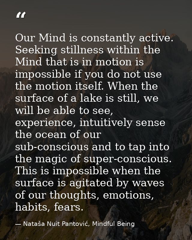 Our Mind is constantly active. Seeking stillness within the Mind that is in motion is impossible if you do not use the m — Nataša Nuit Pantović, Mindful Being