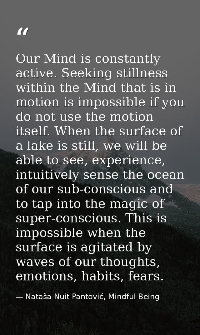 Our Mind is constantly active. Seeking stillness within the Mind that is in motion is impossible if you do not use the m — Nataša Nuit Pantović, Mindful Being