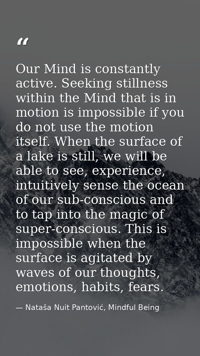 Our Mind is constantly active. Seeking stillness within the Mind that is in motion is impossible if you do not use the m — Nataša Nuit Pantović, Mindful Being