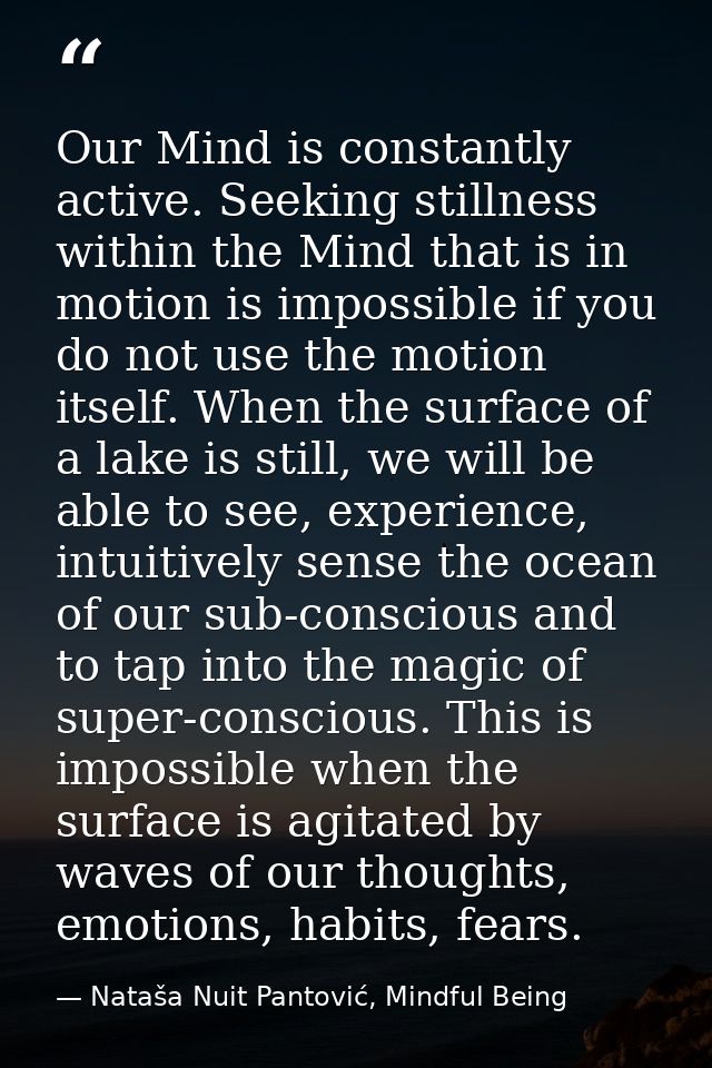 Our Mind is constantly active. Seeking stillness within the Mind that is in motion is impossible if you do not use the m — Nataša Nuit Pantović, Mindful Being