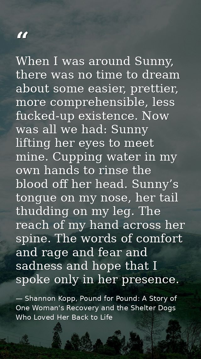 When I was around Sunny, there was no time to dream about some easier, prettier, more comprehensible, less fucked-up exi — Shannon Kopp, Pound for Pound: A Story of One Woman's Recovery and the Shelter Dogs Who Loved Her Back to Life