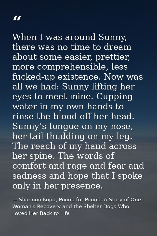 When I was around Sunny, there was no time to dream about some easier, prettier, more comprehensible, less fucked-up exi — Shannon Kopp, Pound for Pound: A Story of One Woman's Recovery and the Shelter Dogs Who Loved Her Back to Life