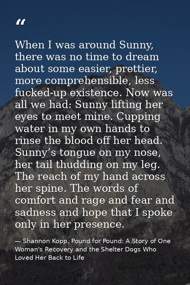 When I was around Sunny, there was no time to dream about some easier, prettier, more comprehensible, less fucked-up exi — Shannon Kopp, Pound for Pound: A Story of One Woman's Recovery and the Shelter Dogs Who Loved Her Back to Life