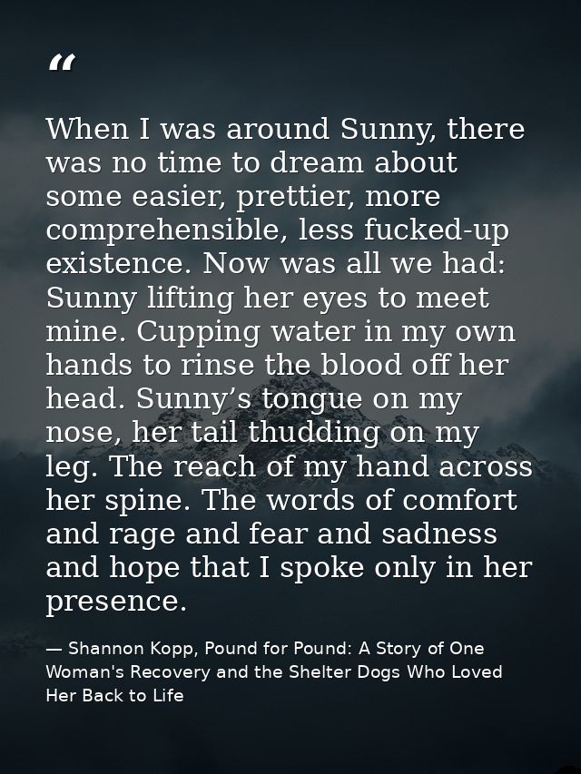 When I was around Sunny, there was no time to dream about some easier, prettier, more comprehensible, less fucked-up exi — Shannon Kopp, Pound for Pound: A Story of One Woman's Recovery and the Shelter Dogs Who Loved Her Back to Life