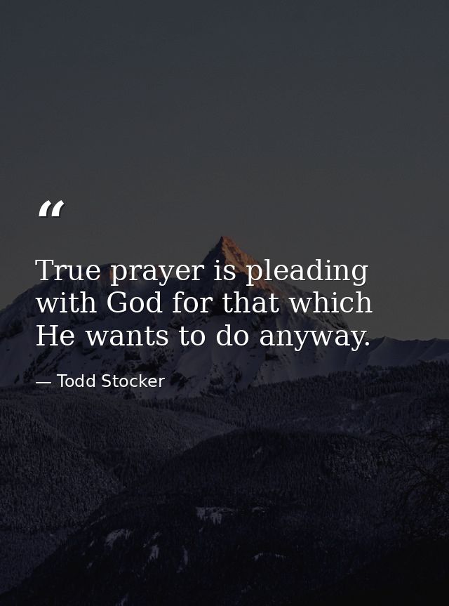 True prayer is pleading with God for that which He wants to do anyway. — Todd Stocker