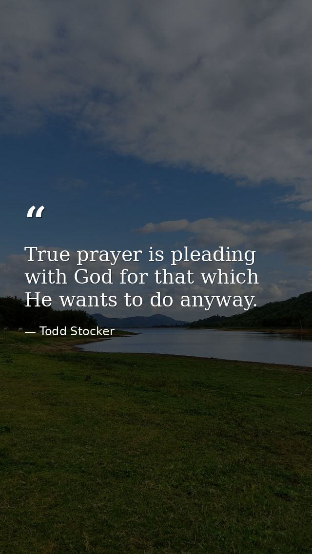 True prayer is pleading with God for that which He wants to do anyway. — Todd Stocker
