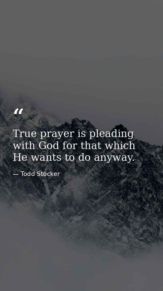 True prayer is pleading with God for that which He wants to do anyway. — Todd Stocker
