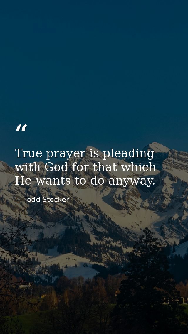 True prayer is pleading with God for that which He wants to do anyway. — Todd Stocker