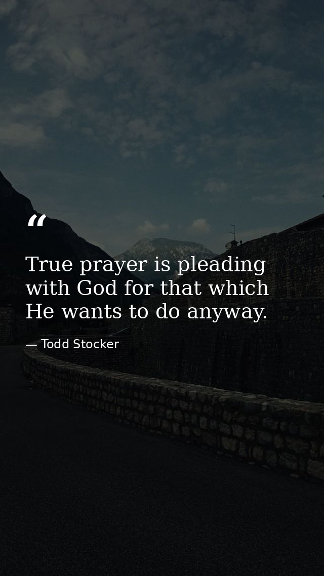 True prayer is pleading with God for that which He wants to do anyway. — Todd Stocker