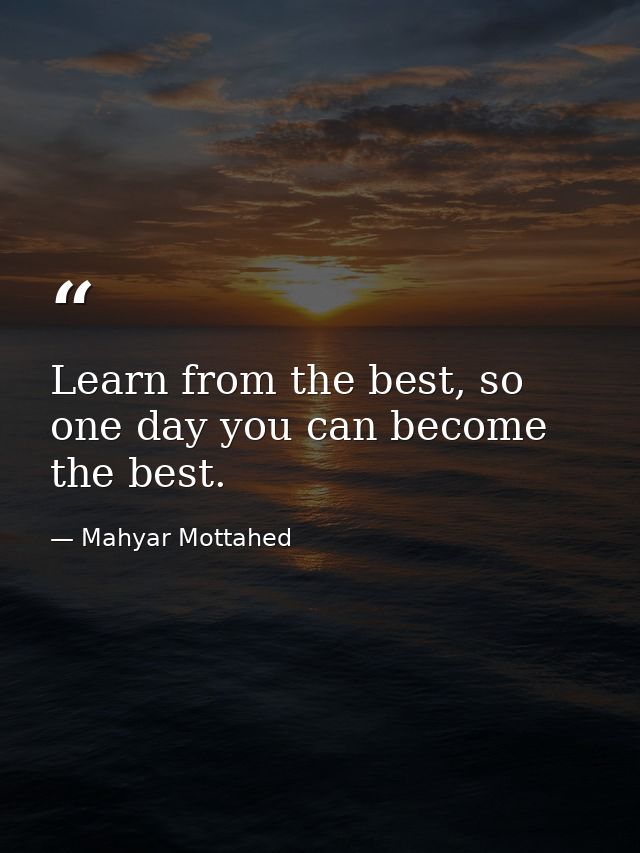 Learn from the best, so one day you can become the best. — Mahyar Mottahed