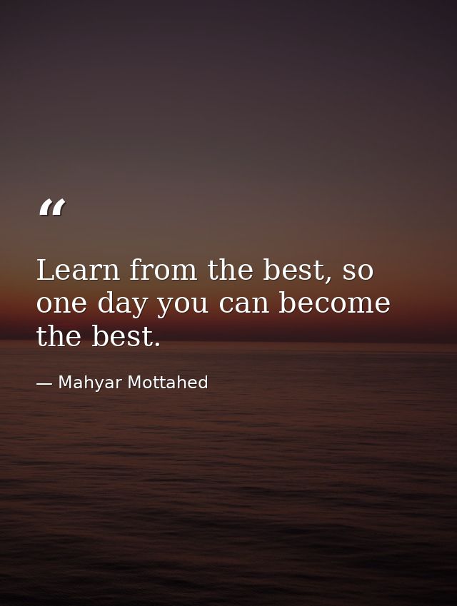 Learn from the best, so one day you can become the best. — Mahyar Mottahed