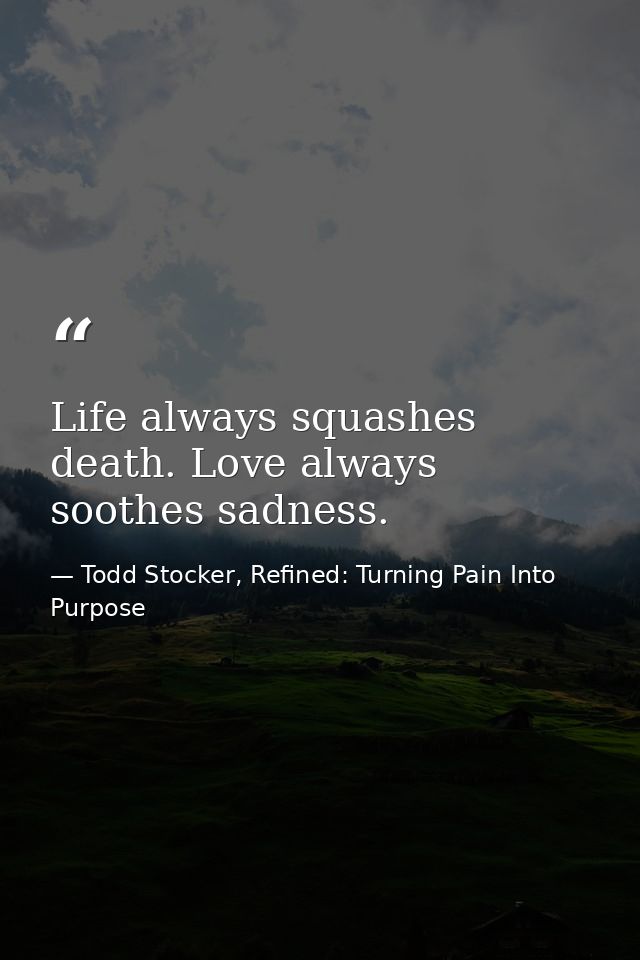 Life always squashes death. Love always soothes sadness. — Todd Stocker, Refined: Turning Pain Into Purpose