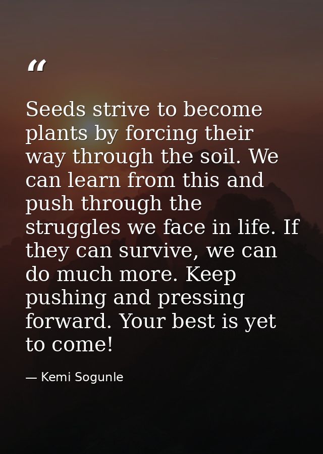 Seeds strive to become plants by forcing their way through the soil. We can learn from this and push through the struggl — Kemi Sogunle