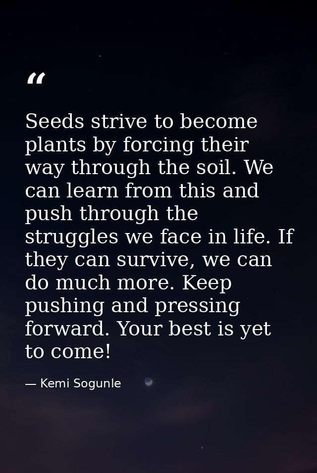 Seeds strive to become plants by forcing their way through the soil. We can learn from this and push through the struggl — Kemi Sogunle