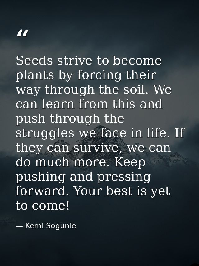 Seeds strive to become plants by forcing their way through the soil. We can learn from this and push through the struggl — Kemi Sogunle