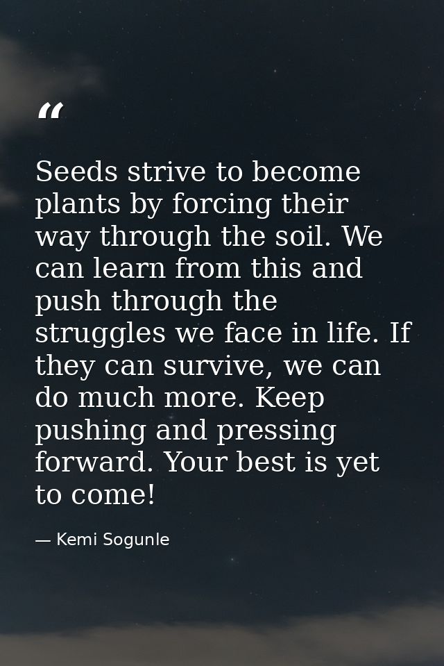Seeds strive to become plants by forcing their way through the soil. We can learn from this and push through the struggl — Kemi Sogunle