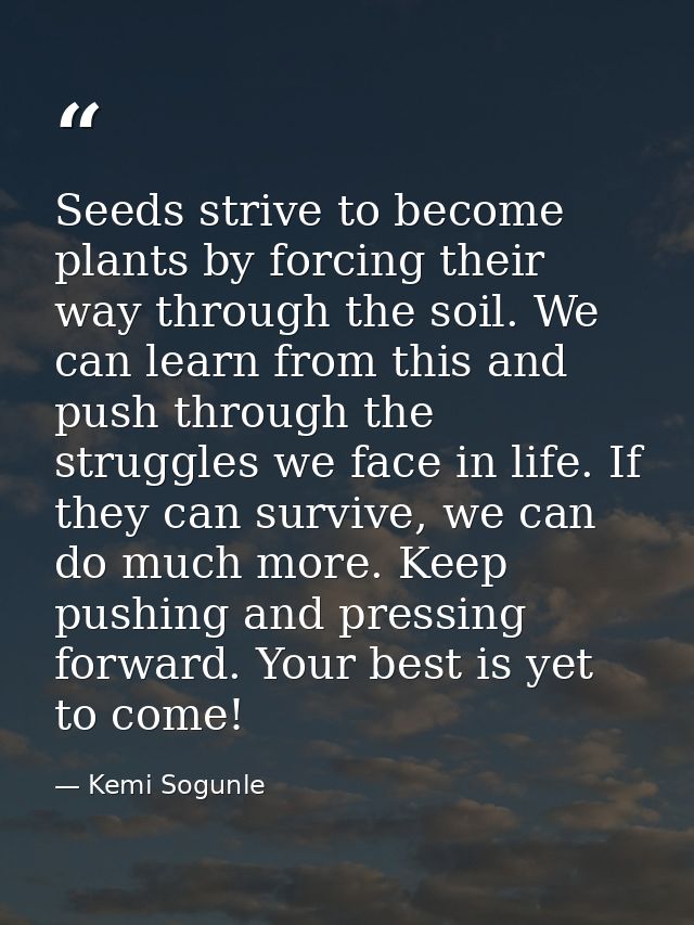 Seeds strive to become plants by forcing their way through the soil. We can learn from this and push through the struggl — Kemi Sogunle