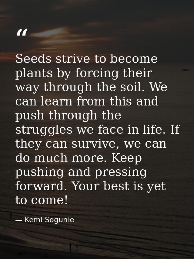 Seeds strive to become plants by forcing their way through the soil. We can learn from this and push through the struggl — Kemi Sogunle