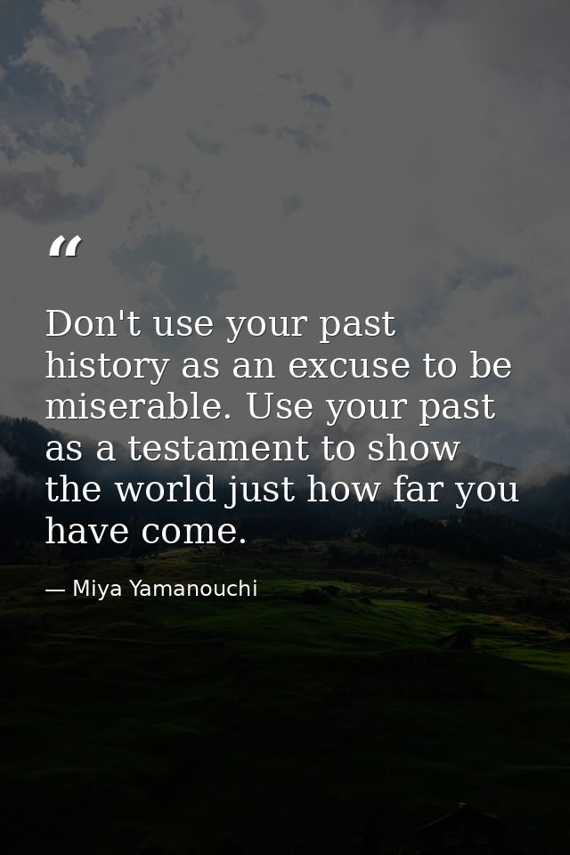 Don't use your past history as an excuse to be miserable. Use your past as a testament to show the world just how far yo — Miya Yamanouchi