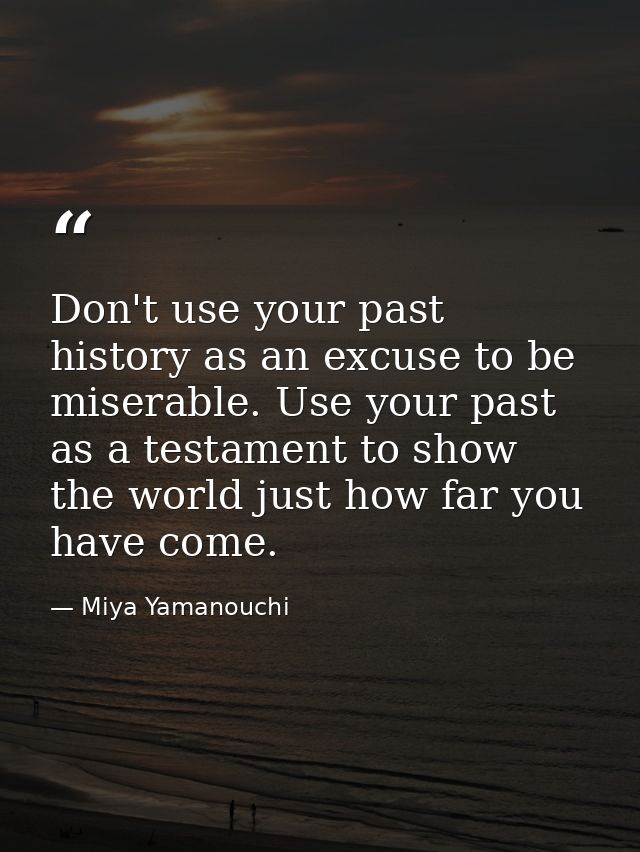 Don't use your past history as an excuse to be miserable. Use your past as a testament to show the world just how far yo — Miya Yamanouchi