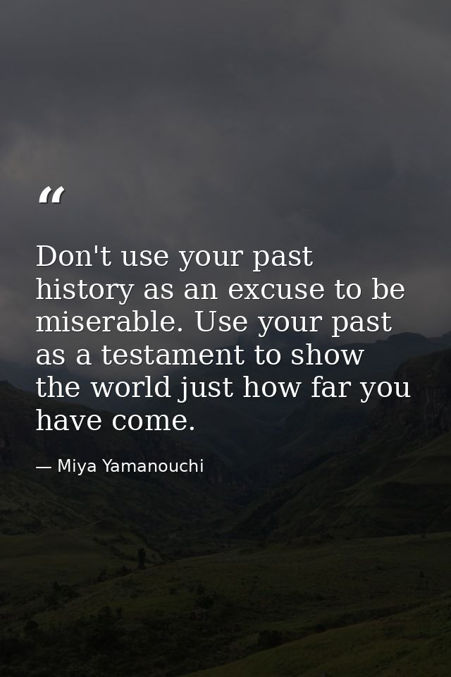 Don't use your past history as an excuse to be miserable. Use your past as a testament to show the world just how far yo — Miya Yamanouchi