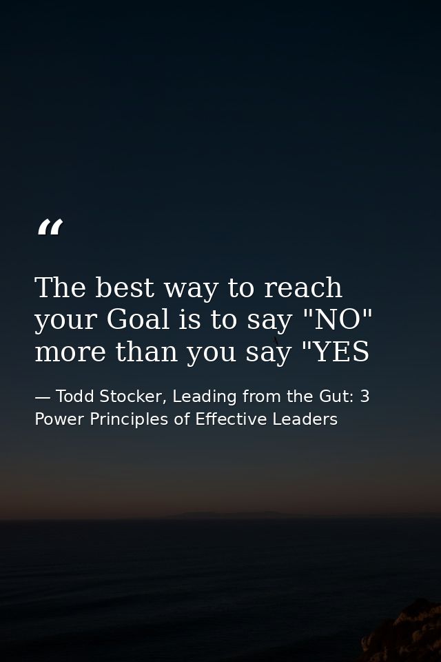 The best way to reach your Goal is to say "NO" more than you say "YES — Todd Stocker, Leading from the Gut: 3 Power Principles of Effective Leaders