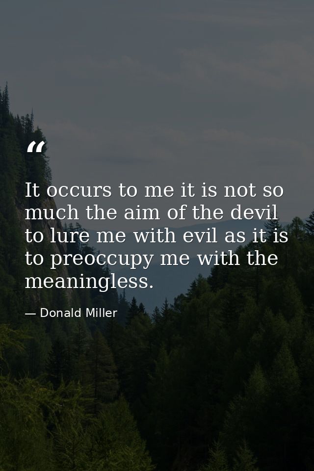It occurs to me it is not so much the aim of the devil to lure me with evil as it is to preoccupy me with the meaningles — Donald Miller