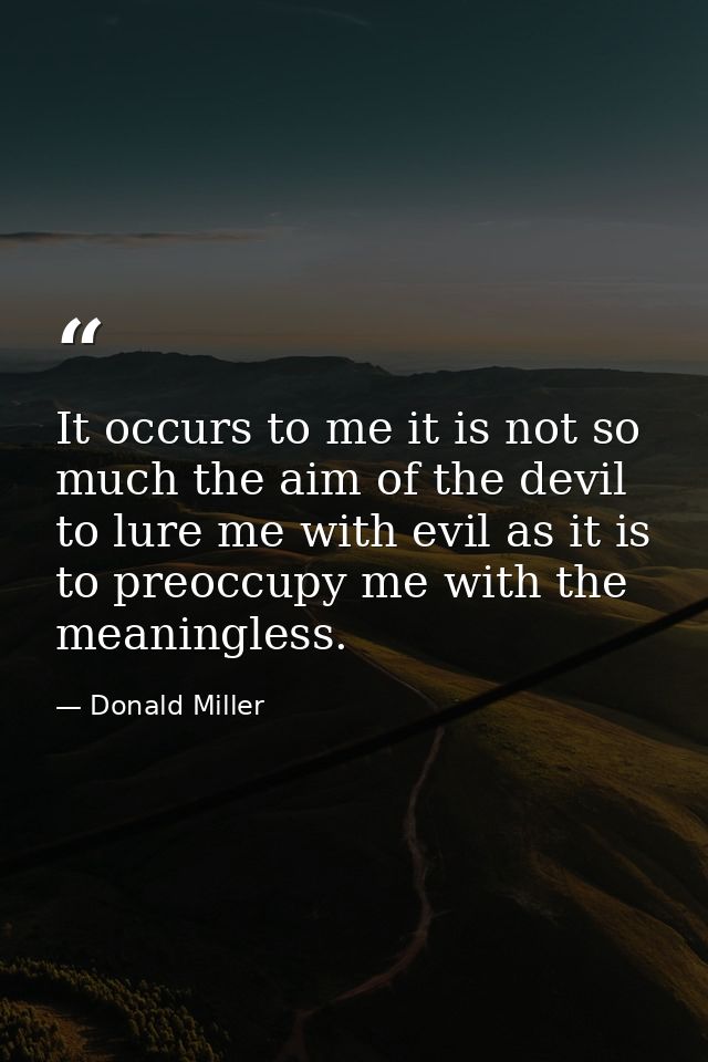 It occurs to me it is not so much the aim of the devil to lure me with evil as it is to preoccupy me with the meaningles — Donald Miller