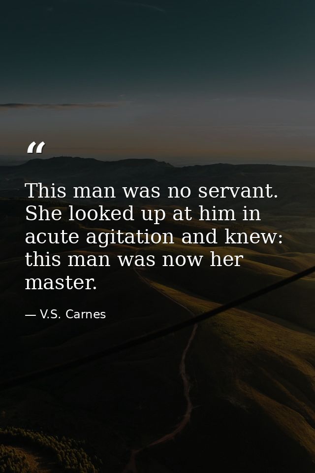 This man was no servant. She looked up at him in acute agitation and knew: this man was now her master. — V.S. Carnes