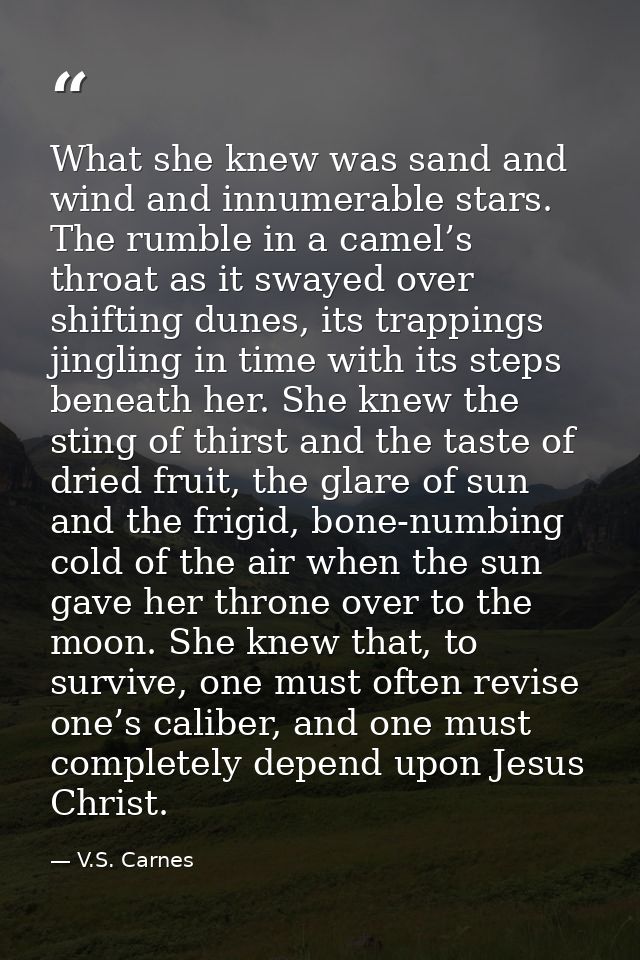 What she knew was sand and wind and innumerable stars. The rumble in a camel’s throat as it swayed over shifting dunes,  — V.S. Carnes