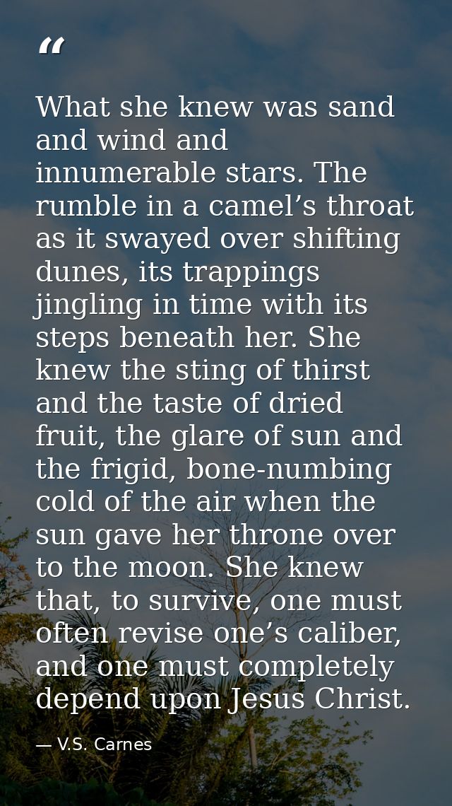 What she knew was sand and wind and innumerable stars. The rumble in a camel’s throat as it swayed over shifting dunes,  — V.S. Carnes