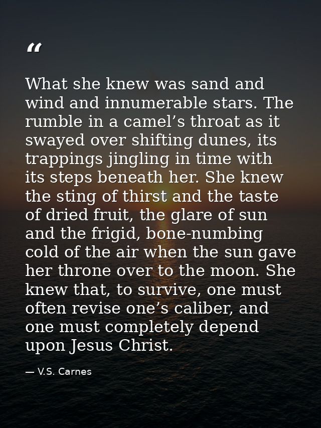 What she knew was sand and wind and innumerable stars. The rumble in a camel’s throat as it swayed over shifting dunes,  — V.S. Carnes