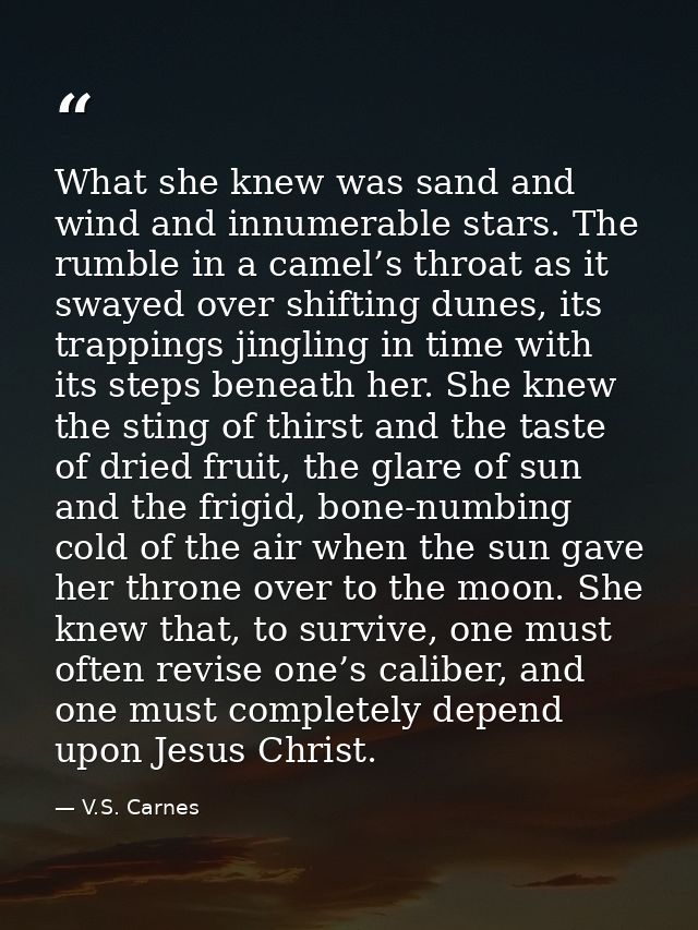 What she knew was sand and wind and innumerable stars. The rumble in a camel’s throat as it swayed over shifting dunes,  — V.S. Carnes