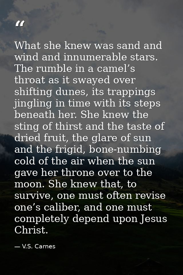 What she knew was sand and wind and innumerable stars. The rumble in a camel’s throat as it swayed over shifting dunes,  — V.S. Carnes