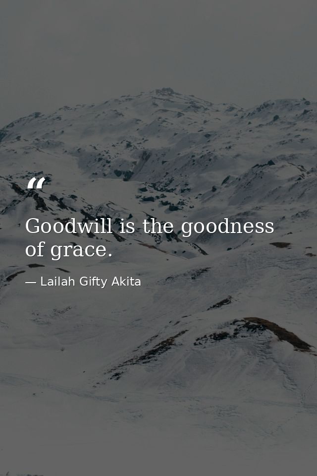 Goodwill is the goodness of grace. — Lailah Gifty Akita