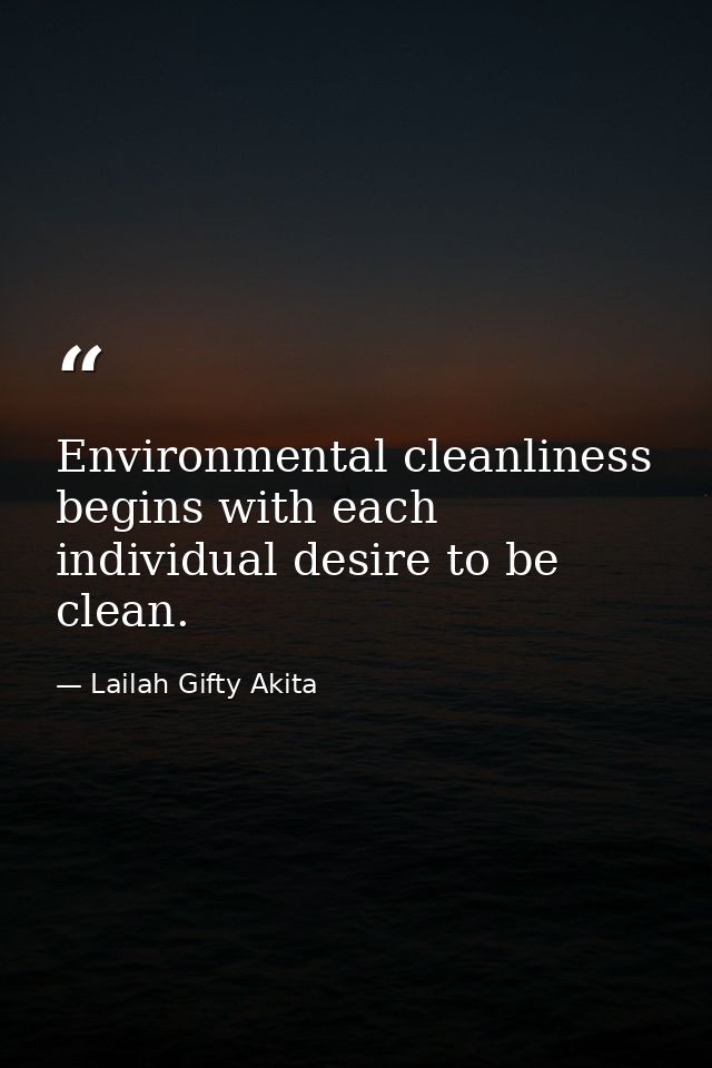 Environmental cleanliness begins with each individual desire to be clean. — Lailah Gifty Akita