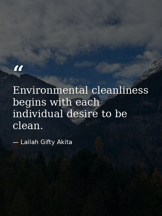 Environmental cleanliness begins with each individual desire to be clean. — Lailah Gifty Akita