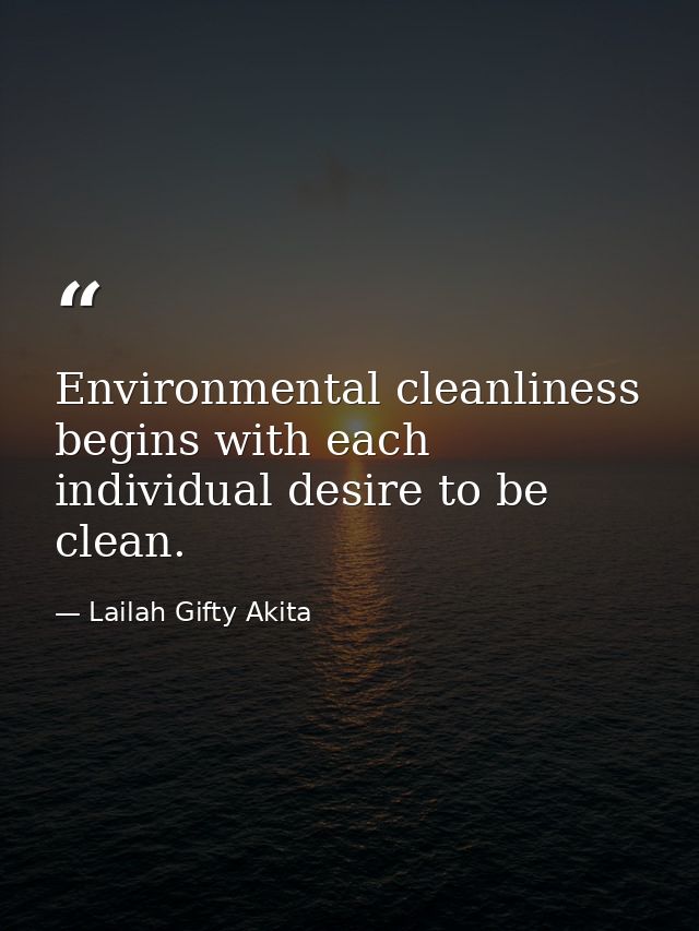 Environmental cleanliness begins with each individual desire to be clean. — Lailah Gifty Akita