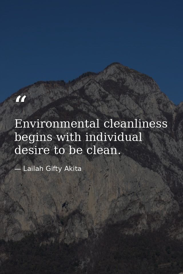 Environmental cleanliness begins with individual desire to be clean. — Lailah Gifty Akita