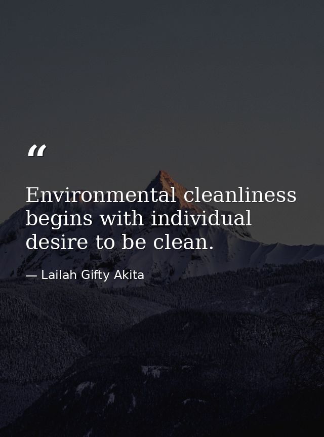 Environmental cleanliness begins with individual desire to be clean. — Lailah Gifty Akita