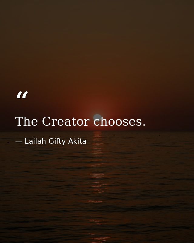 The Creator chooses. — Lailah Gifty Akita