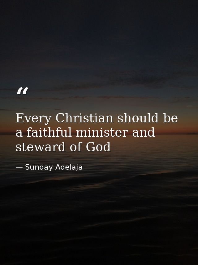 Every Christian should be a faithful minister and steward of God — Sunday Adelaja