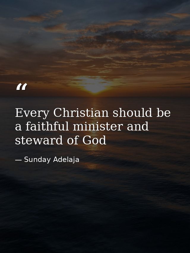 Every Christian should be a faithful minister and steward of God — Sunday Adelaja