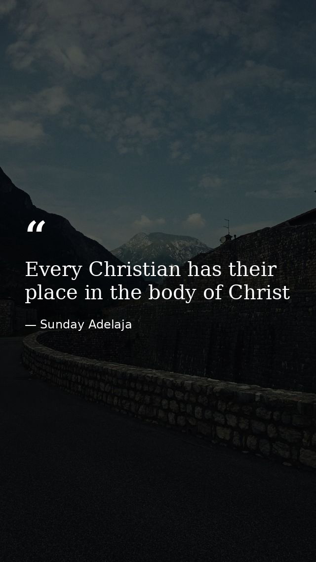 Every Christian has their place in the body of Christ — Sunday Adelaja