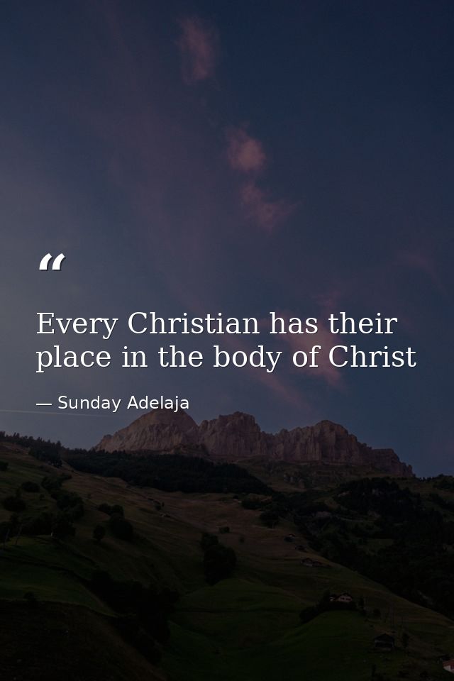 Every Christian has their place in the body of Christ — Sunday Adelaja